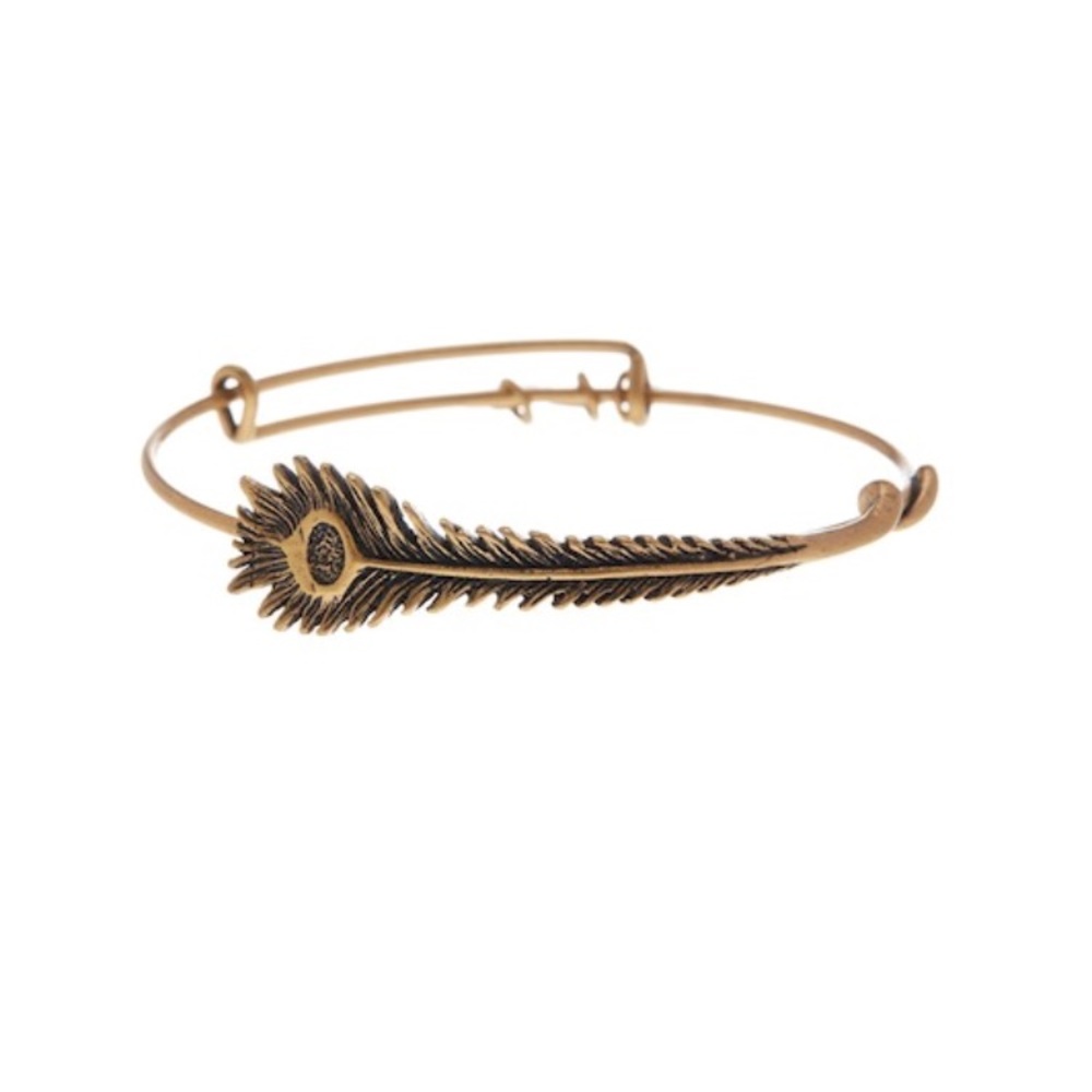 Alex and Ani peacock feather bracelet
